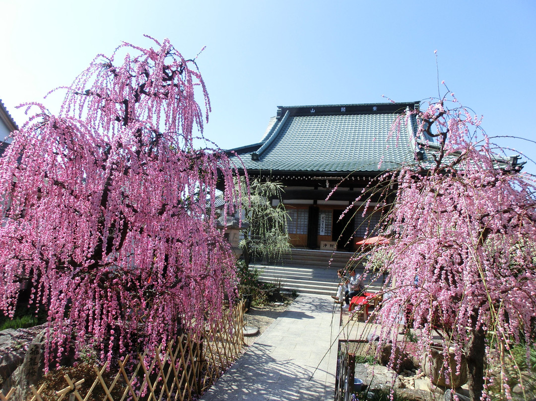 Koju-ji Temple景点图片