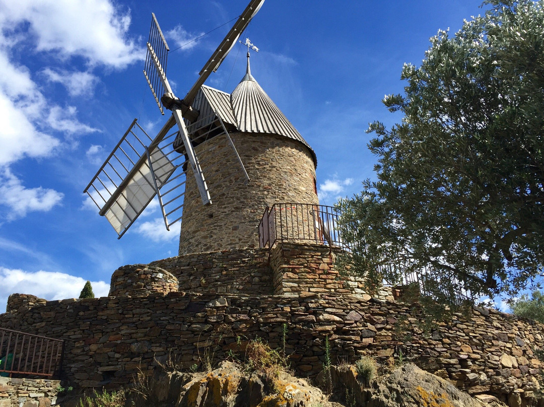 Moulin de Collioure景点图片