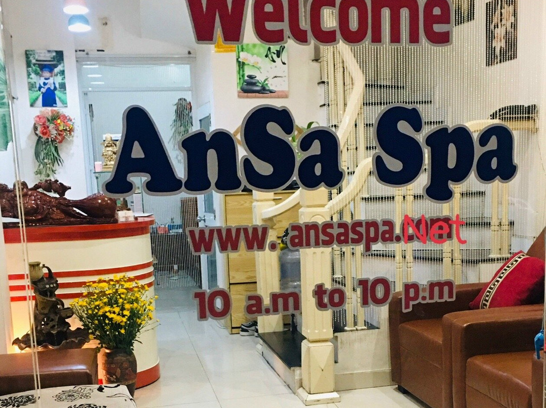 Ansa Spa