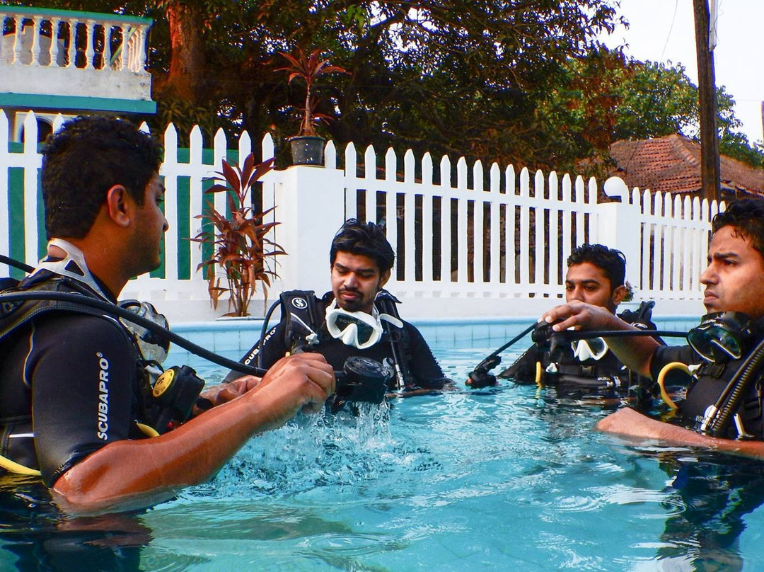 Scuba Evolution India-安朱纳必去景点