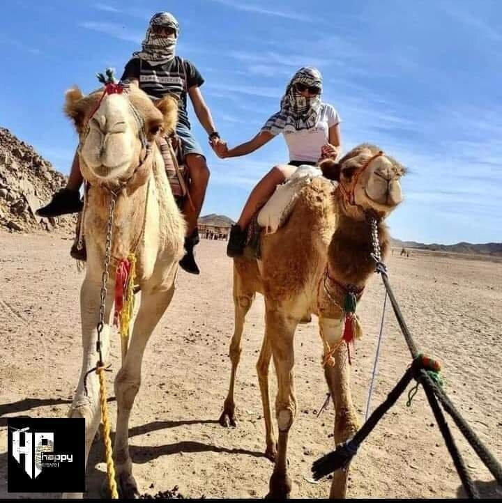 sharm El shaikh best activities-沙姆沙伊赫必去景点