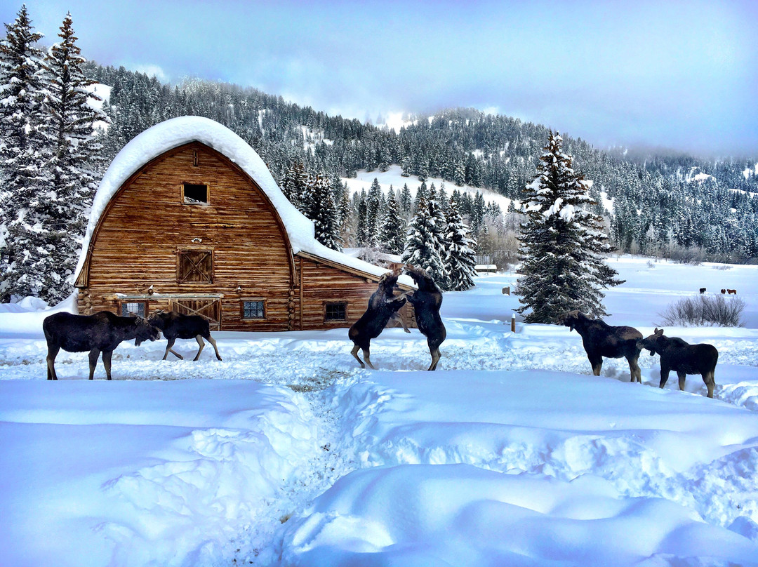 Trail Creek Ranch