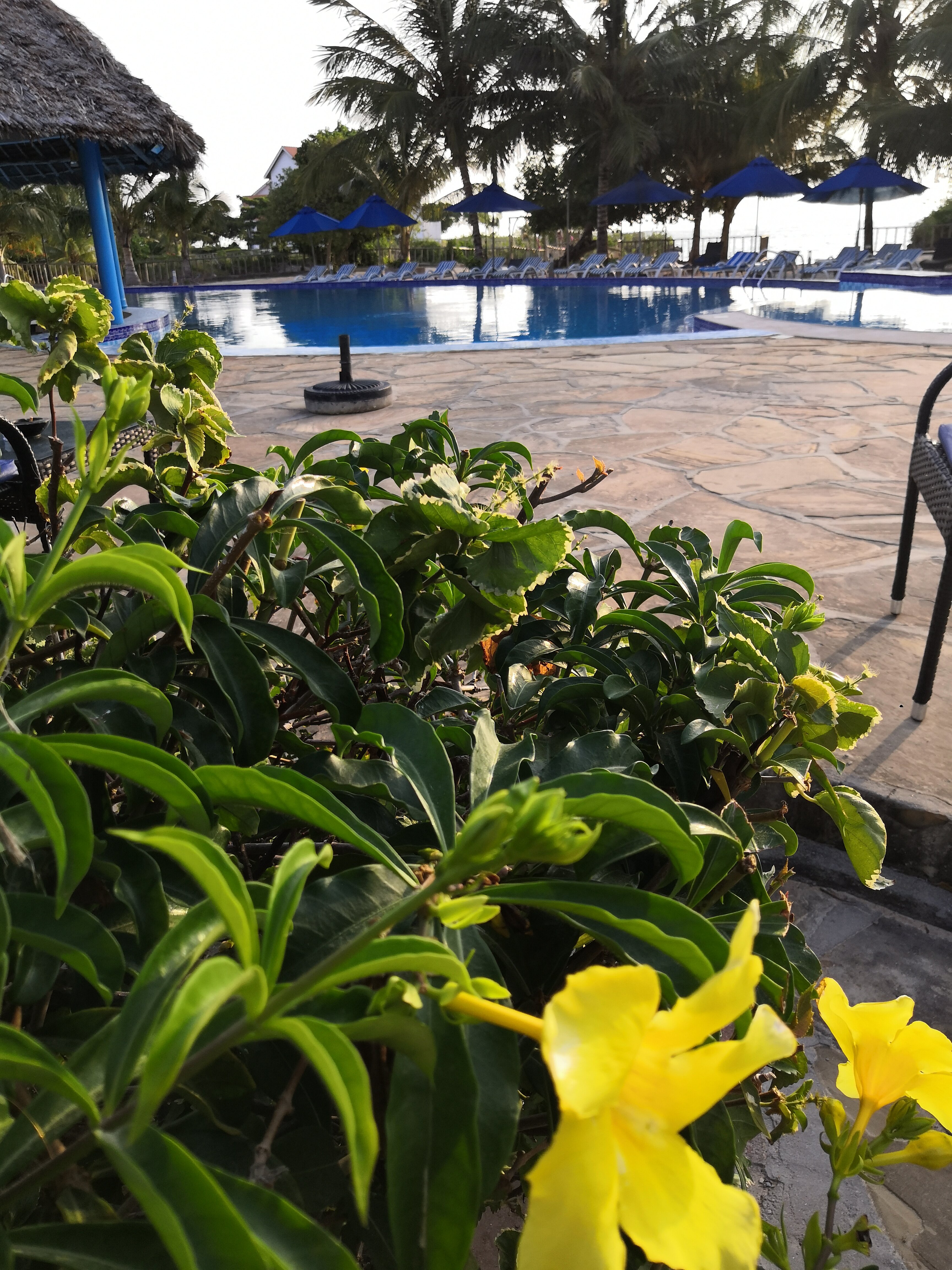 Azao Resort & Spa-浴室