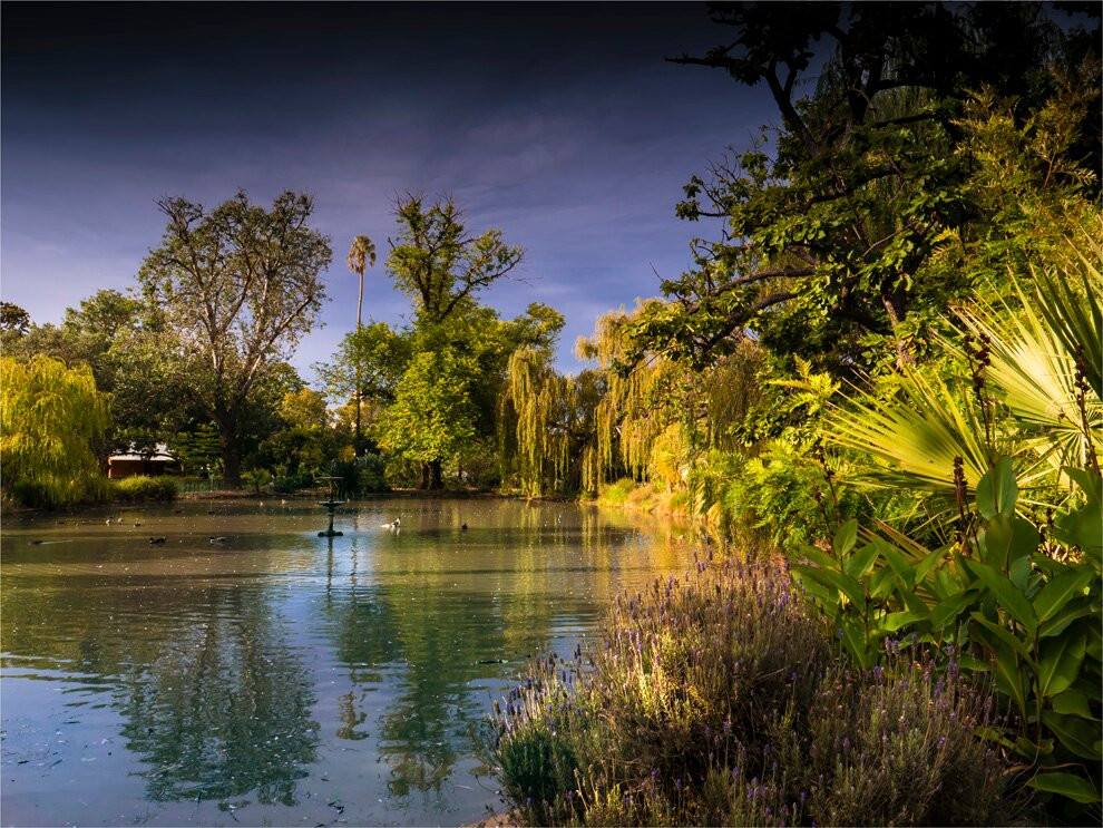 Kings Avenue Motel主图