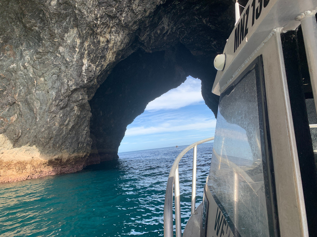 Bay of Islands Water Taxi景点图片