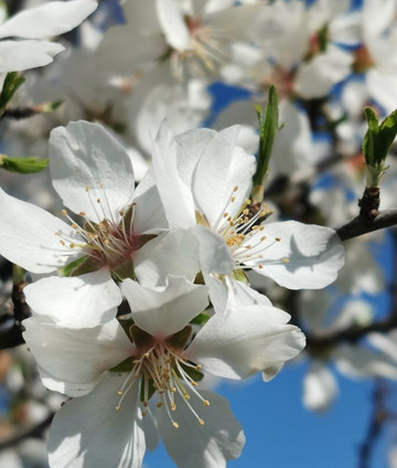Ermita del Cerrillo-Galapagar必去景点