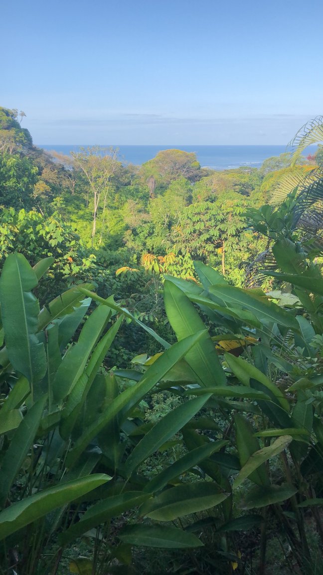 奥霍查尔心灵酒店-酒店景观