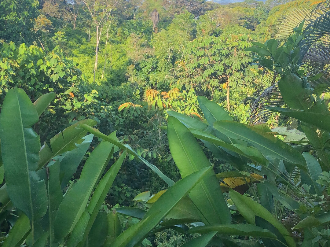 Alma De Ojochal主图