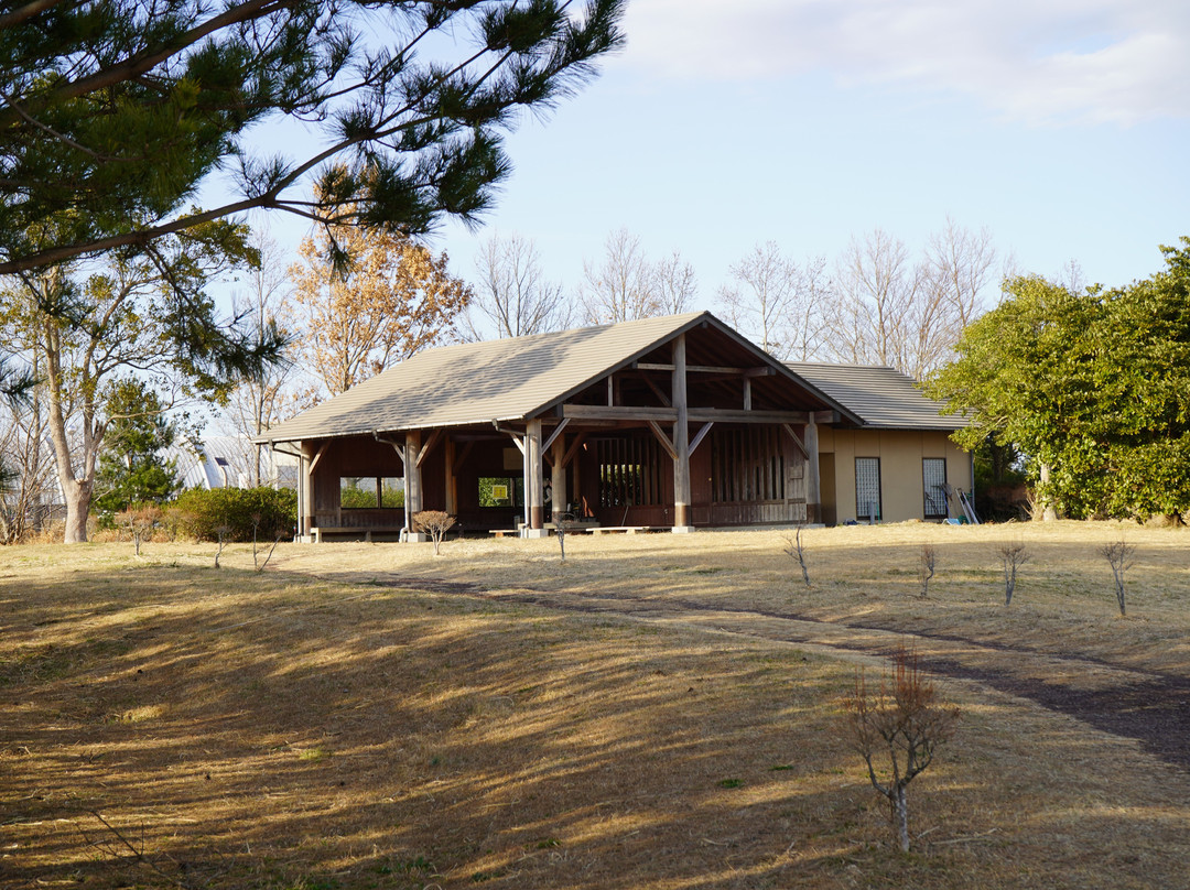 Takasuzaki Park-行方市必去景点