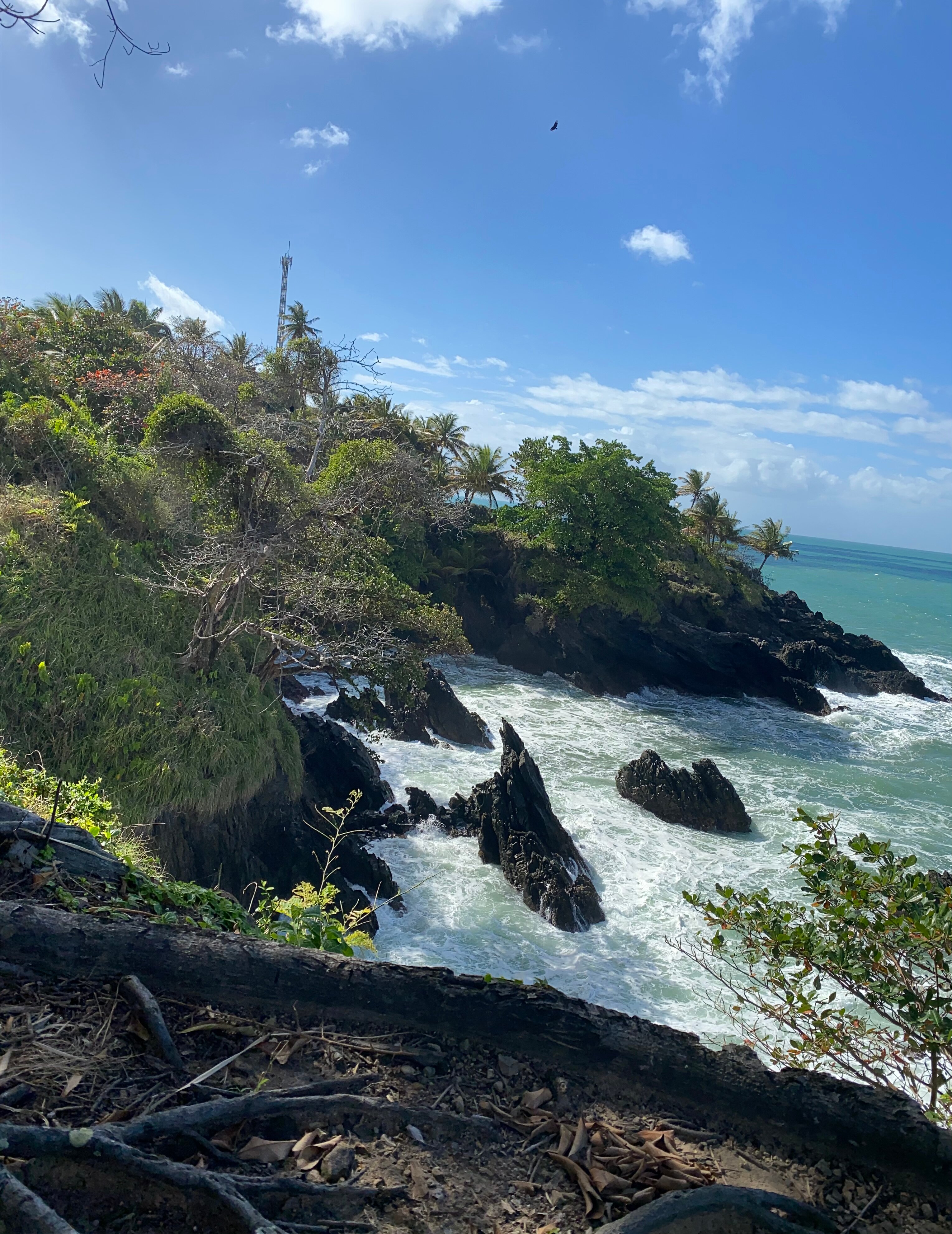 Hosanna Toco Resort-官方