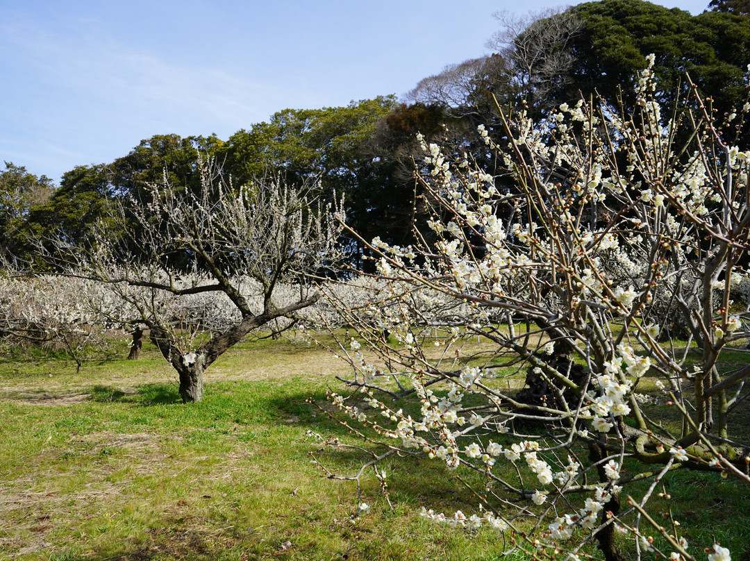 Sakata Castle Ruin-横芝光町必去景点