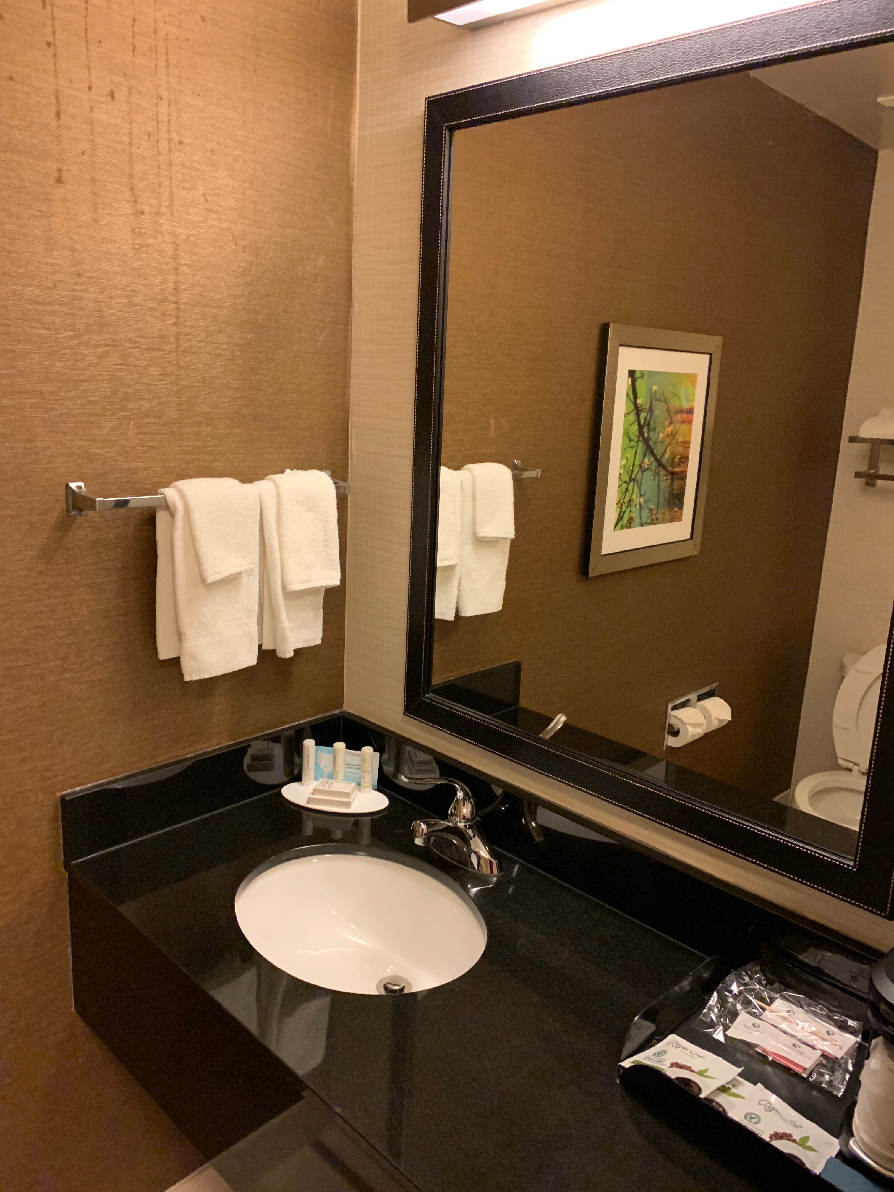 Comfort Inn & Suites-浴室