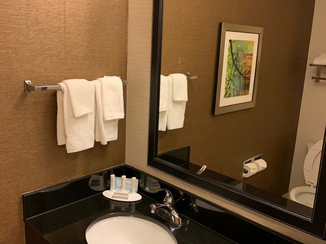 Comfort Inn & Suites主图