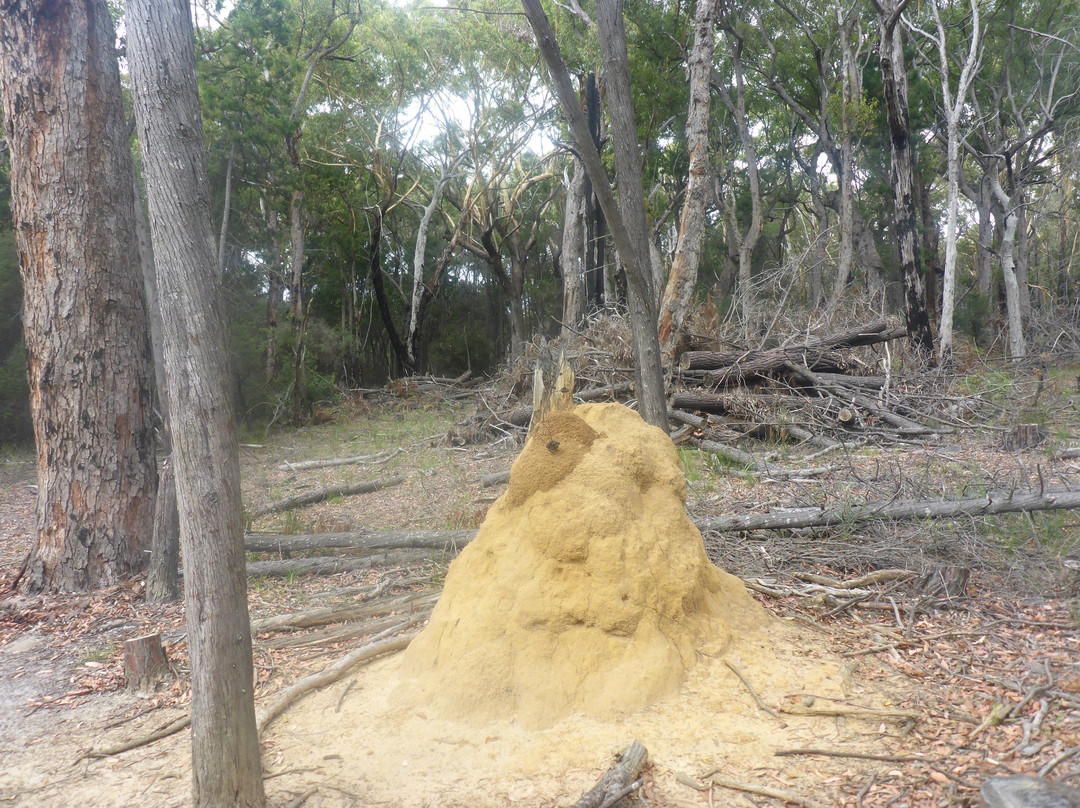 Ben Boyd National Park-伊登港必去景点