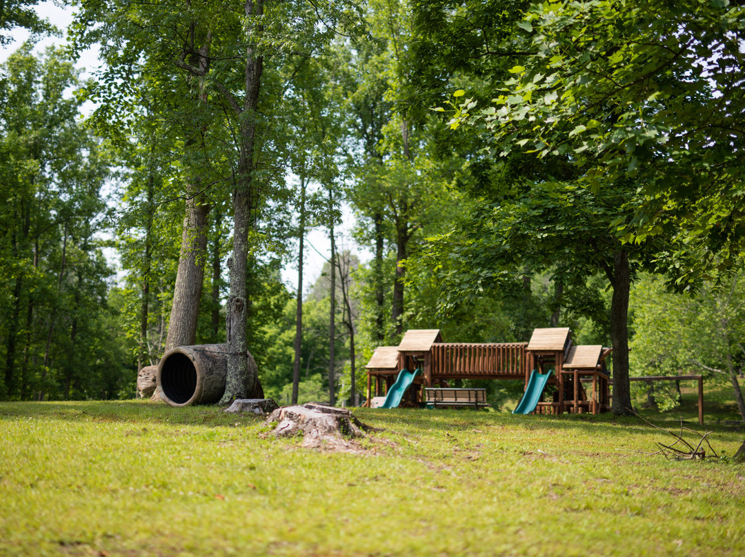 Tygart Lake State Park景点图片