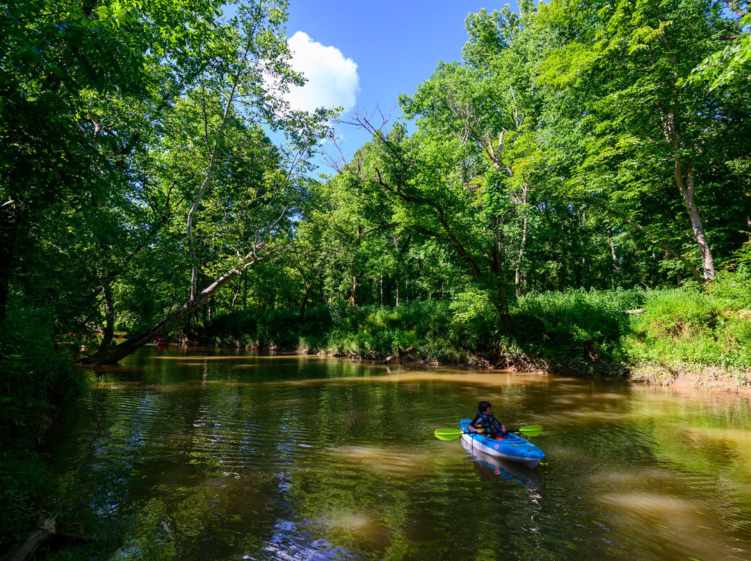 Beech Fork State Park-Barboursville必去景点