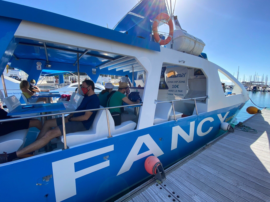 Fancy II Whale Watching景点图片
