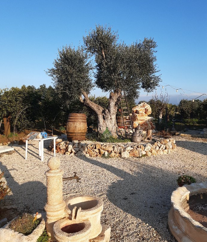 B&B Giardino Isabella主图