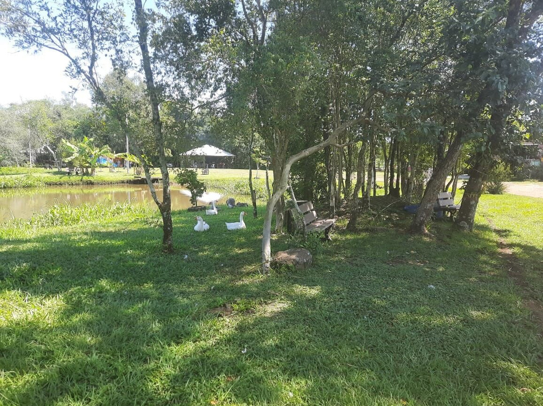 Porto Xavier旅游攻略图片