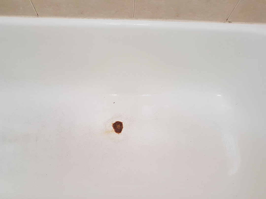 本迪戈汽车旅馆主图