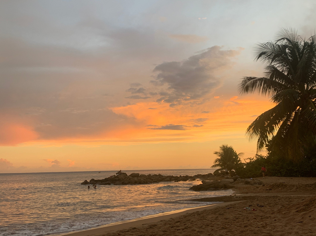 Aqua Marina Beach Club主图