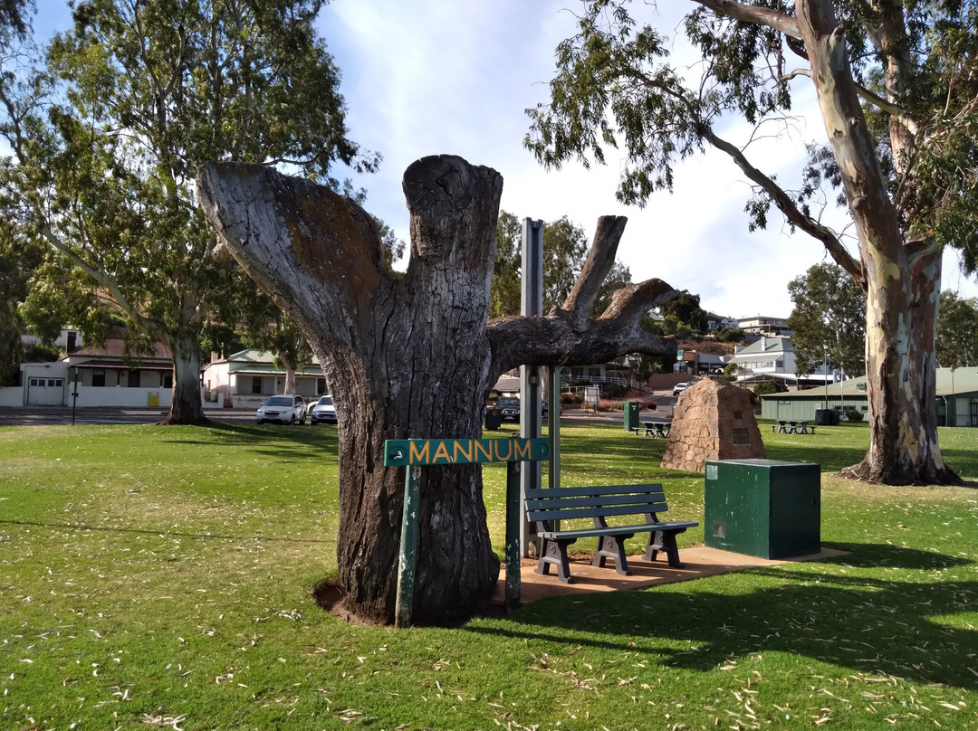 Mary Ann Reserve-Mannum必去景点