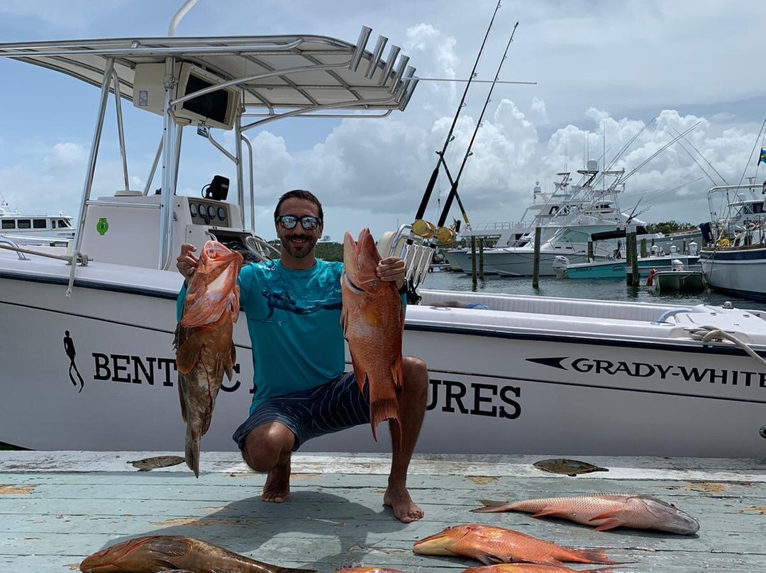 Benthic Adventures-Green Turtle Cay必去景点