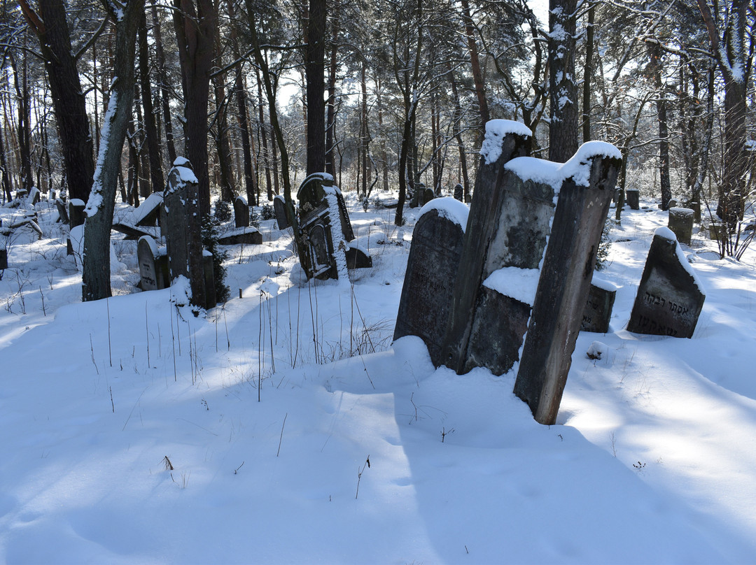 Mazowiecki Park Krajobrazowy景点图片