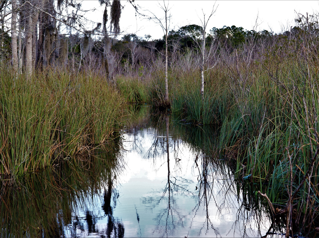 Justin's Jungle Airboat Rides-Umatilla必去景点