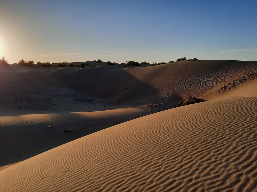 Sandman Camels景点图片
