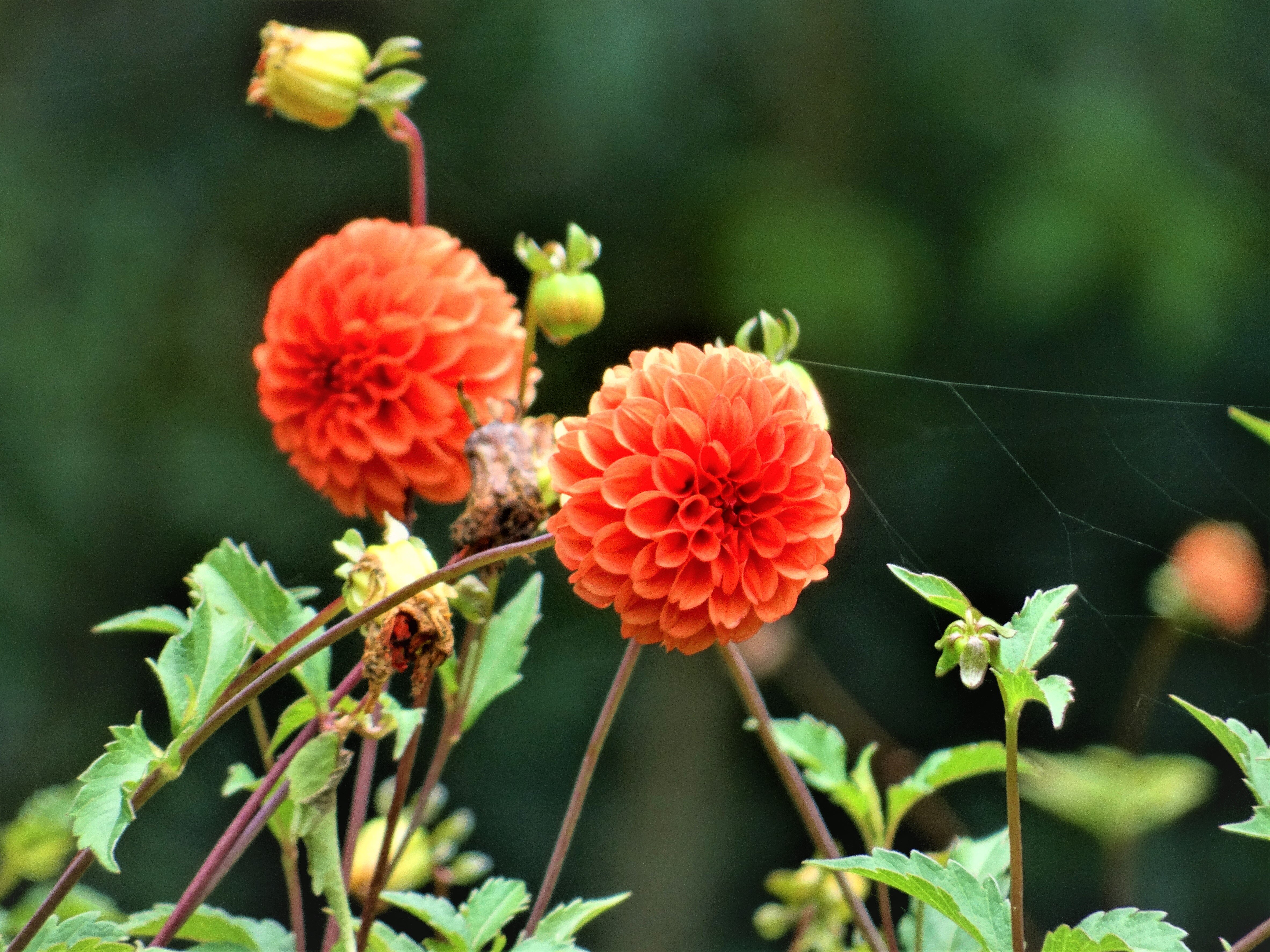 Hotel Fazenda São Francisco-浴室
