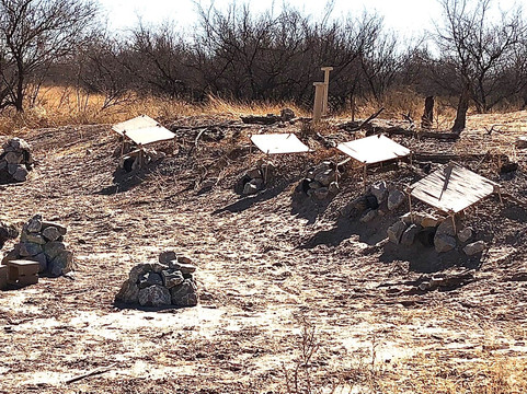 Rio Bosque Wetlands Park-Socorro必去景点