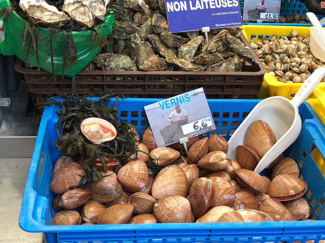 Halle aux poissons-瓦讷必去景点
