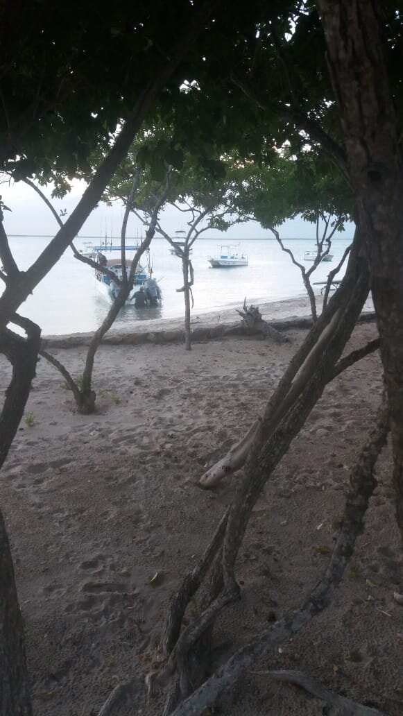 Três Sereias Beach Resort-泳池