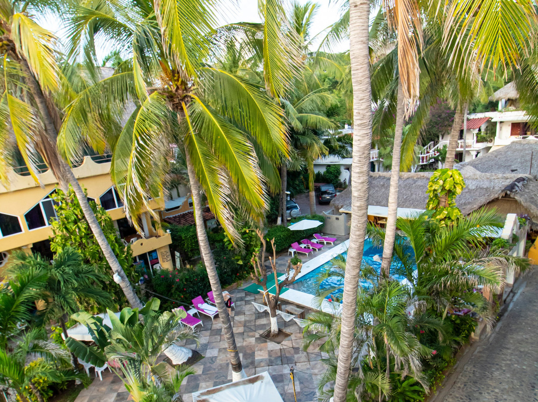 Beach Hotel Ines主图