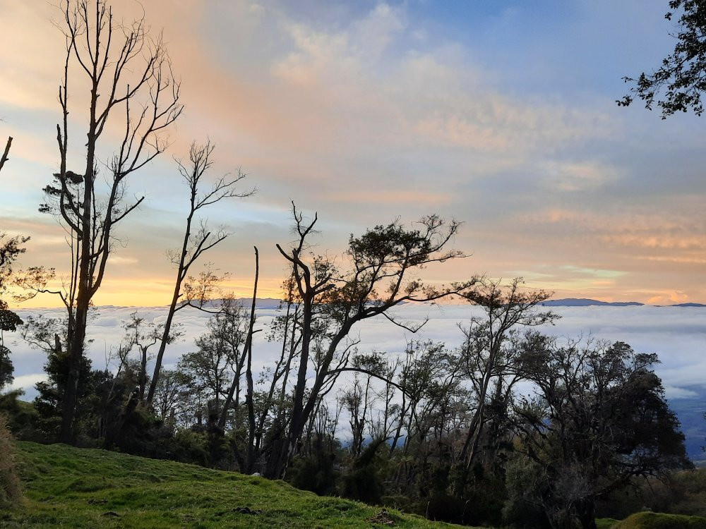 Turrialba Volcano景点图片