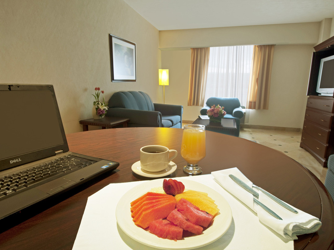 Fiesta Inn Toluca Tollocan主图