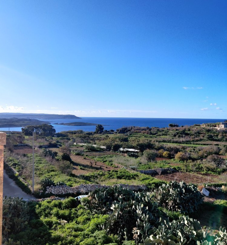 Il Pomo Bianco主图