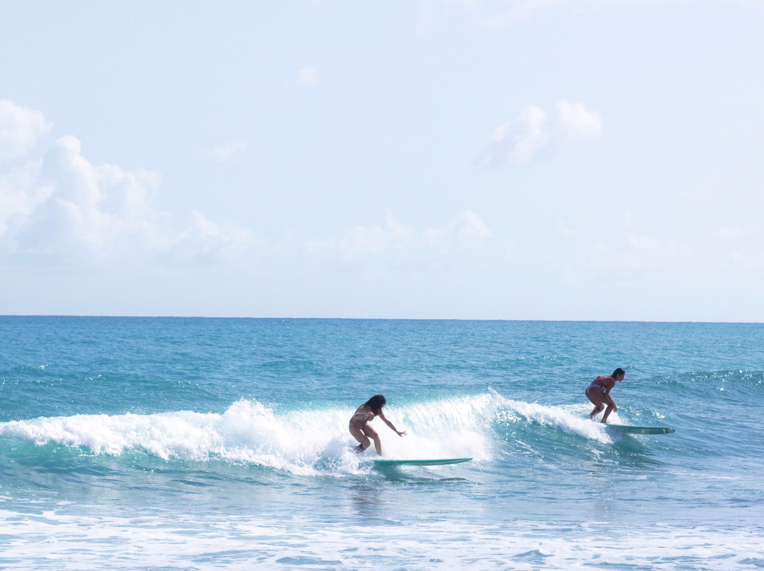 Dream Wave Surf School-科拉雷侯必去景点