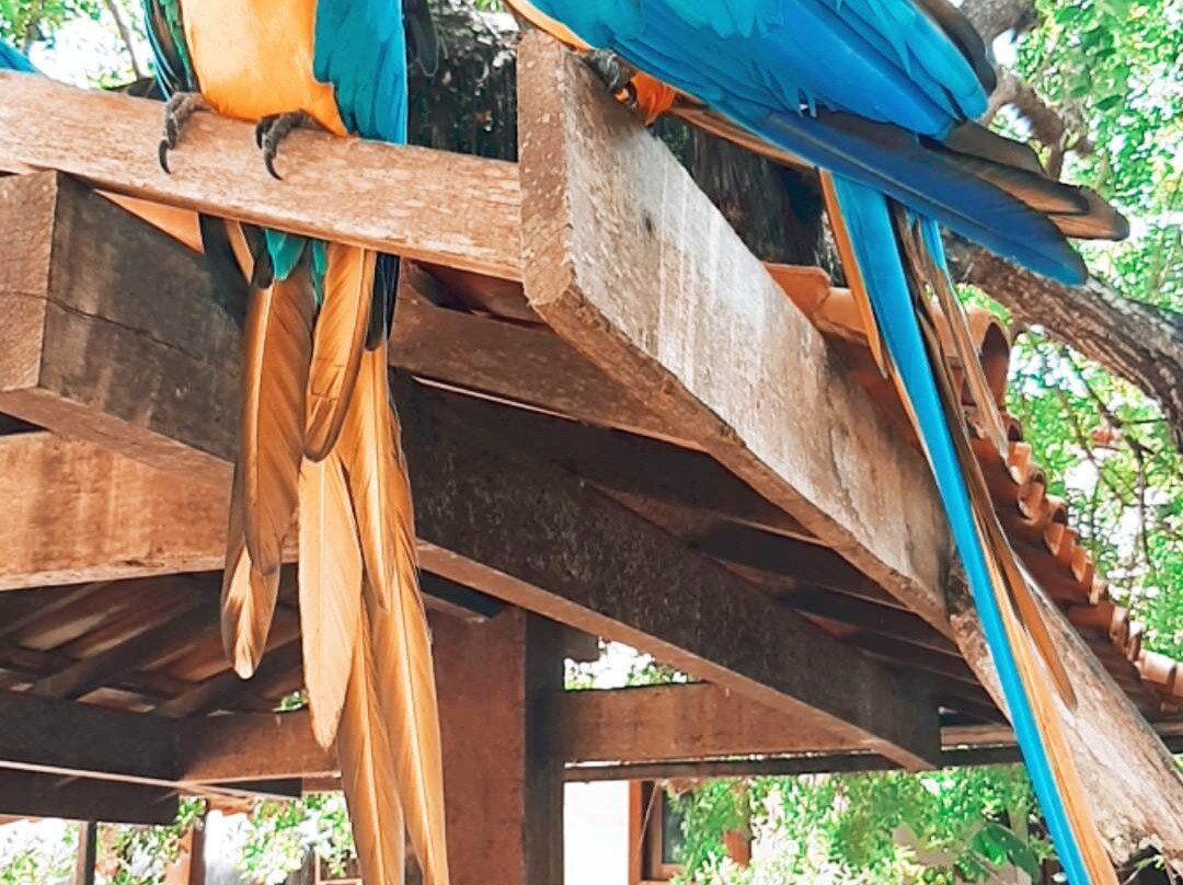 Hotel La Dolce Vita主图