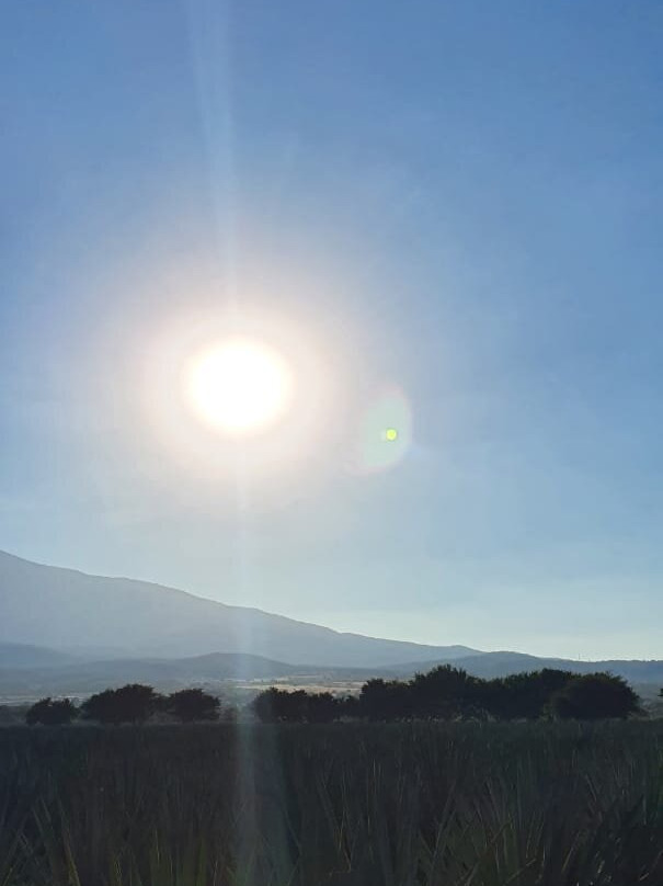 Sky Tequila Glamping Hotel