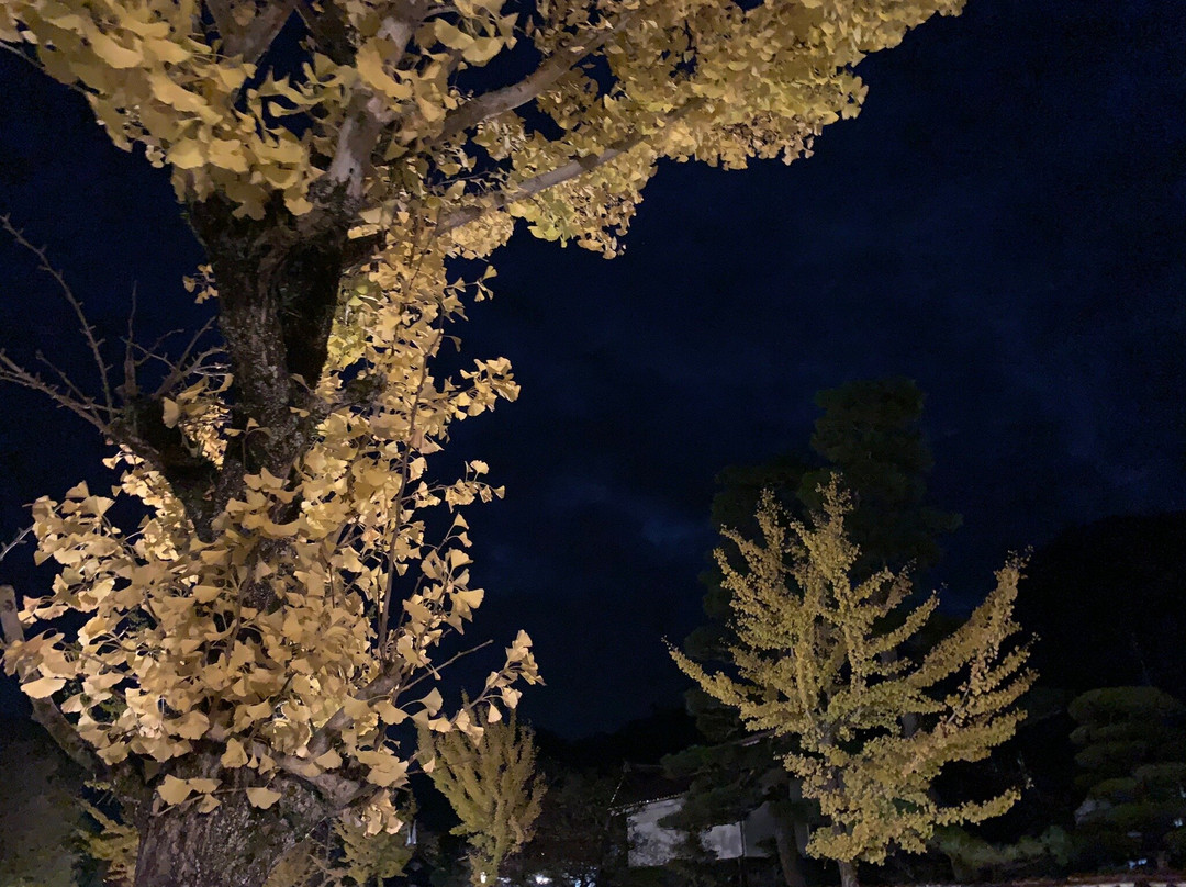 Tsuwano Catholic Church-津和野町必去景点