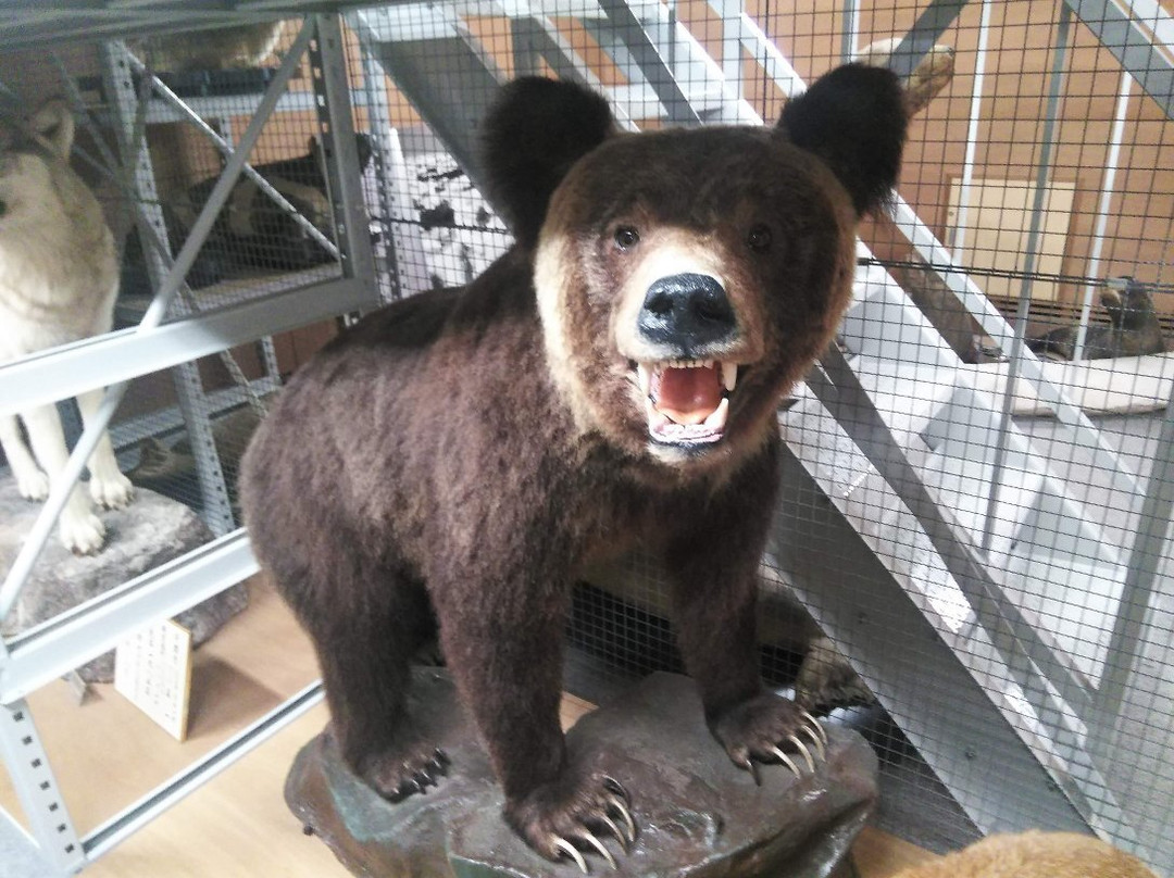 Mombetsu Museum-纹别市必去景点