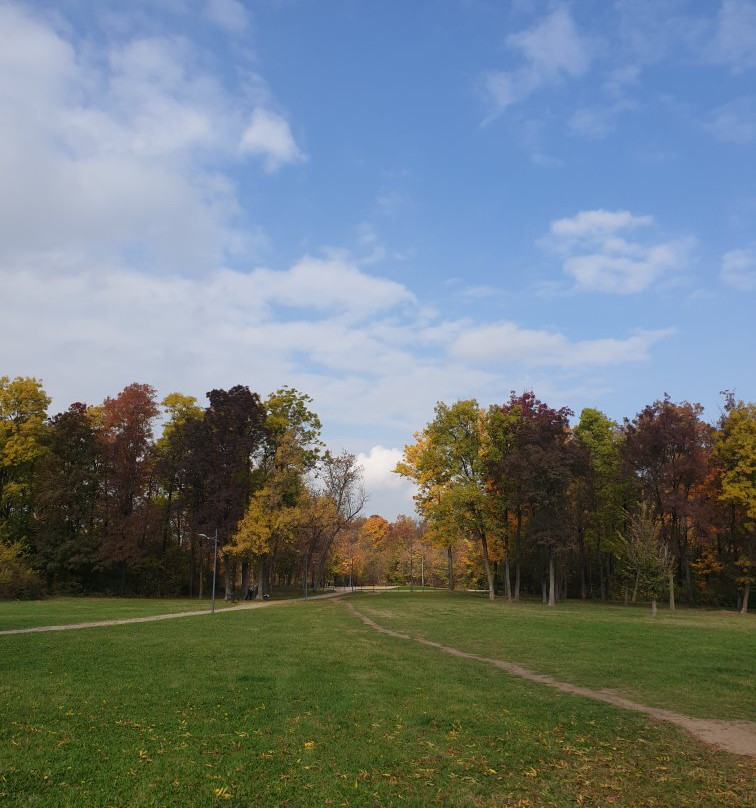 Memorial Park Sumarice景点图片