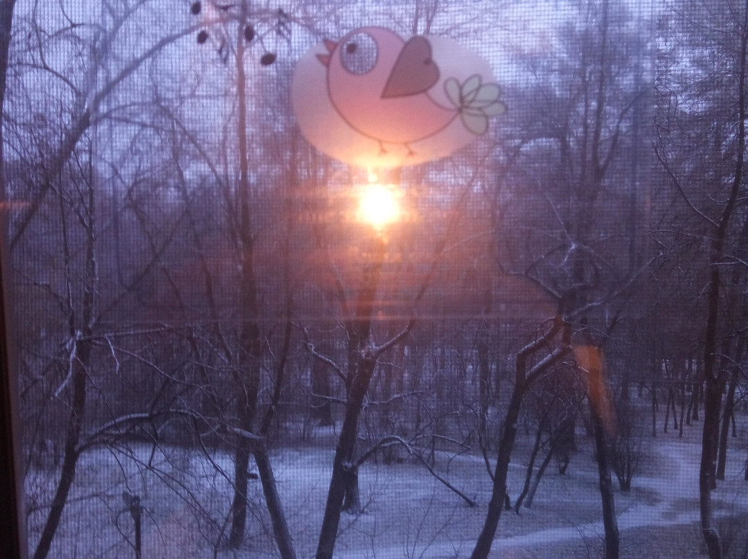 Voznesensky Hotel主图