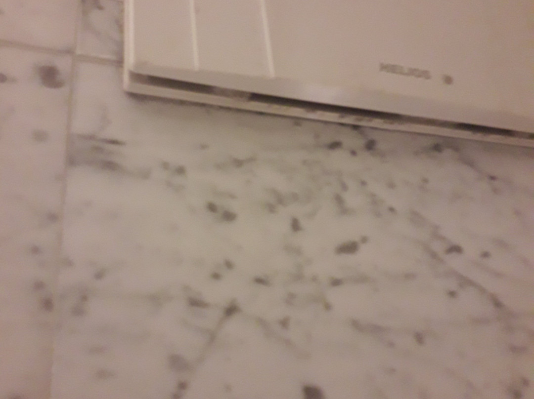 洛特斯罗斯多姆洛酒店主图