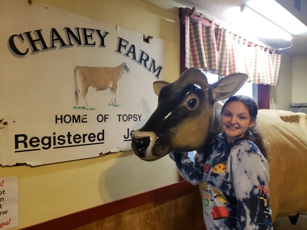 Chaney's Dairy Barn-鲍灵格林必去景点
