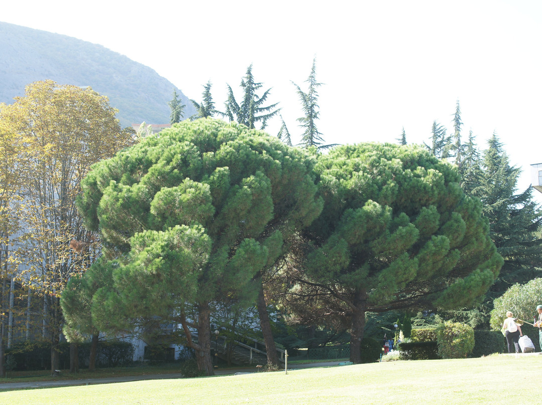 Park of Health Resort Crimea-Partenit必去景点