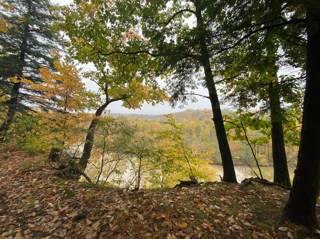 Indian Point Park景点图片