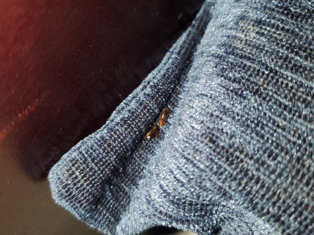 GreenTree Inn Prescott Valley主图